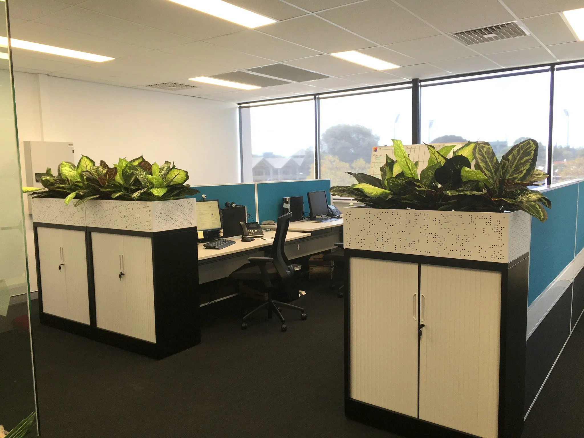 CrossCorp Business Advisors - Dieff. Plants for Tambour Units