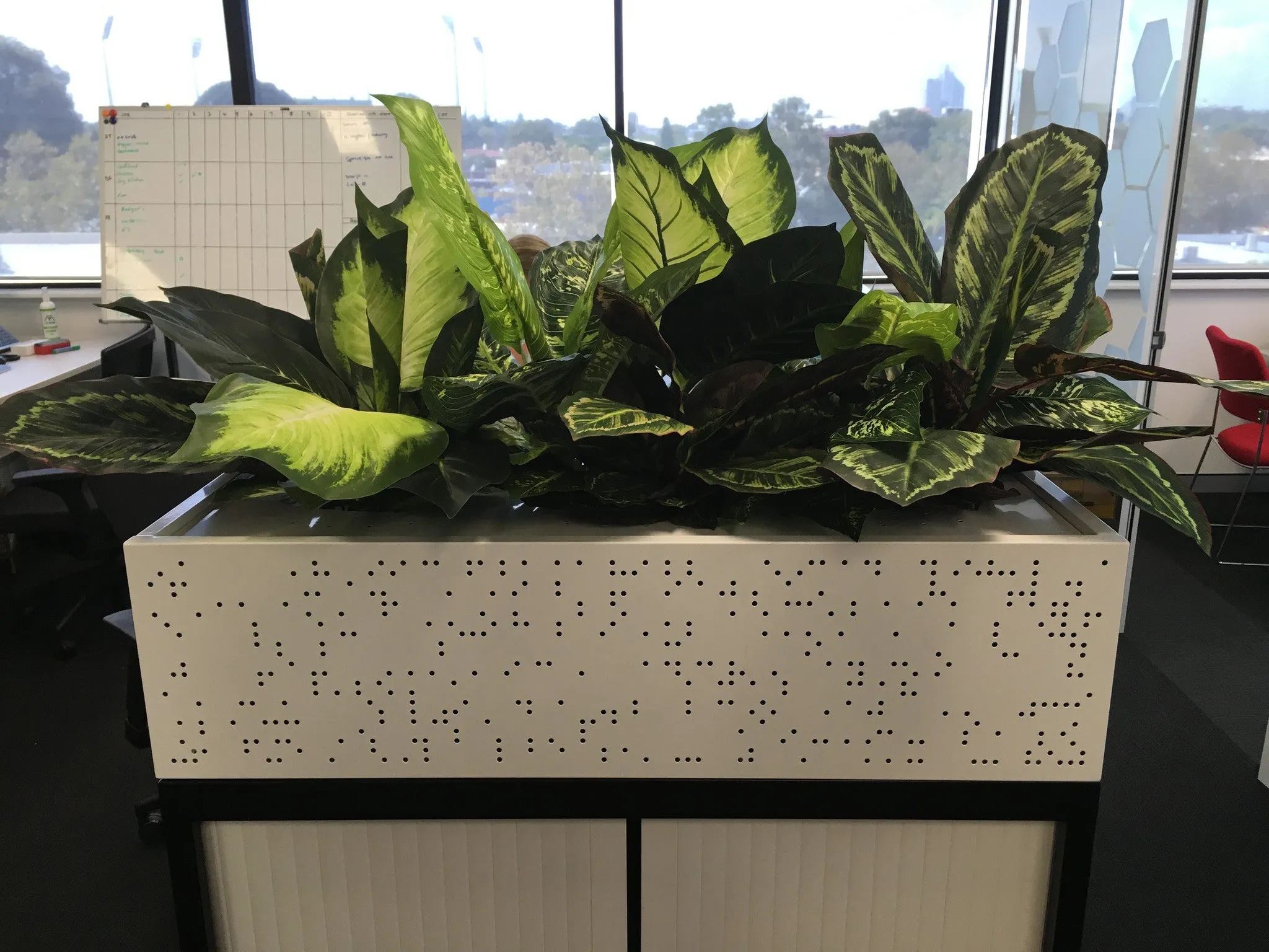 CrossCorp Business Advisors - Dieff. Plants for Tambour Units